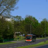 Mercedes O530 CNG #835