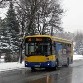 Jelcz M101I #270