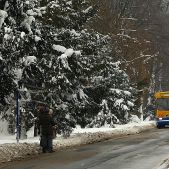 Jelcz 120M CNG #235