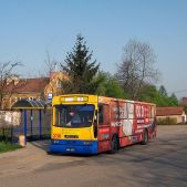 Jelcz 120M CNG #236