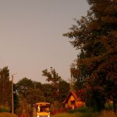 Jelcz M101I #268