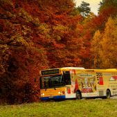 Volvo B10BLE CNG #272