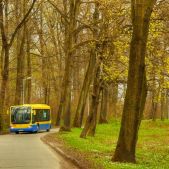 Mercedes O520 #291