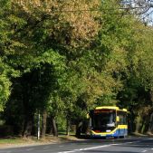 Otokar Kent 290LF #604