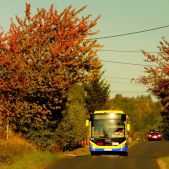 Otokar Kent 290LF #607