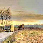 Otokar Kent C #617
