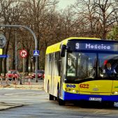 Solaris Urbino 12 #622