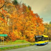 Solaris Urbino 12 #625