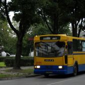 Jelcz PR110M #221 CNG
