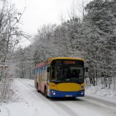 Jelcz M101I #268