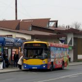 Jelcz M101I #268