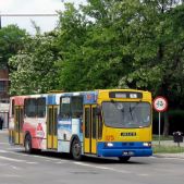 Jelcz PR110M CNG #175