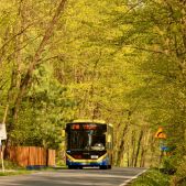 Otokar Kent 290LF #608