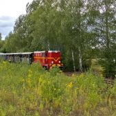Lxd2-374