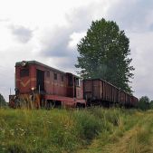 Lxd2-290