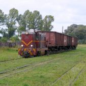 Lxd2-262