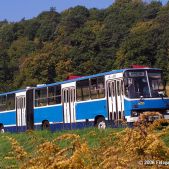 Ikarus 280.26 #DK255