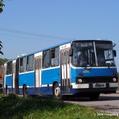 Ikarus 280.26 #DK255