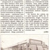 Prawie jak przegubowy