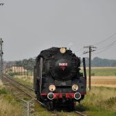 Pm36-2