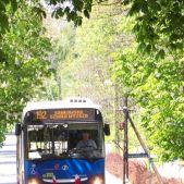 Jelcz M121M CNG #DJ203