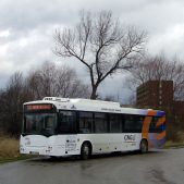 Jelcz M121M CNG #DJ202