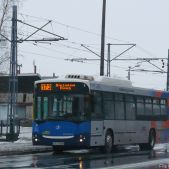 Jelcz M121M CNG #DJ203