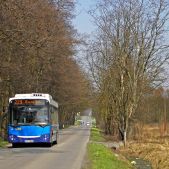 Jelcz M121M CNG #DJ202