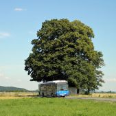 Jelcz M121M CNG #DJ202