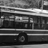 Solaris Alpino 8,9 + pare cm....