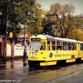 Konstal 102Na #206