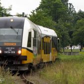 SA134-006