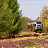 SA134-025