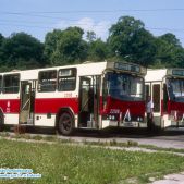 Jelcz M11 #22108