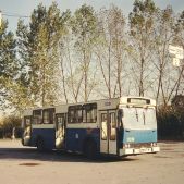 Jelcz M11 #12236