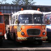Jelcz 043 #84508