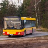 MAN NL223 #10