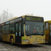 Mercedes O530 #95