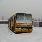 Ikarus 260.04 #247