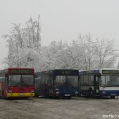 MAN SL202 #09