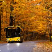 Solaris Urbino 10,5 #12