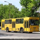 Jelcz M11 #2185