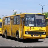 Ikarus 260.04 #247
