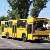Jelcz M11 #2646