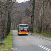 MAN NL222 #081