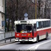 Jelcz M11 #701