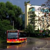 Mercedes O530K #111