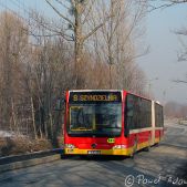 Mercedes O530G #139