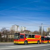 Jelcz M11 #698