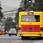 Ikarus 415 #048